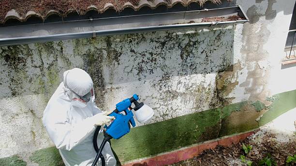 Top rated local Mold Remediation specialists in Church Creek, MD